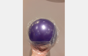Ballon de GR poussines/jeunesses violet