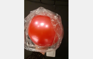 Ballon de GR poussines/jeunesses Rouge/Rose
