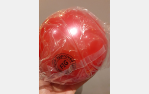 Ballon GR Compétition rouge/Rose