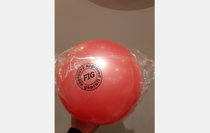 Ballon GR Compétition Rose