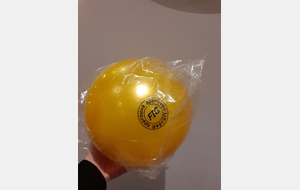 Ballon GR Compétition Jaune/Or