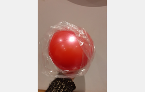 Ballon de GR poussines/jeunesses Rouge/Rose